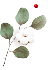 https://shesaidyes.es/wp-content/uploads/2020/10/floating_image_06.png